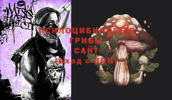 амф Алексин