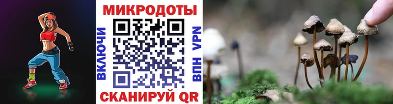 наркота  Родники  Псилоцибиновые грибы Psilocybine cubensis 