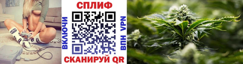 Конопля гибрид  Родники 